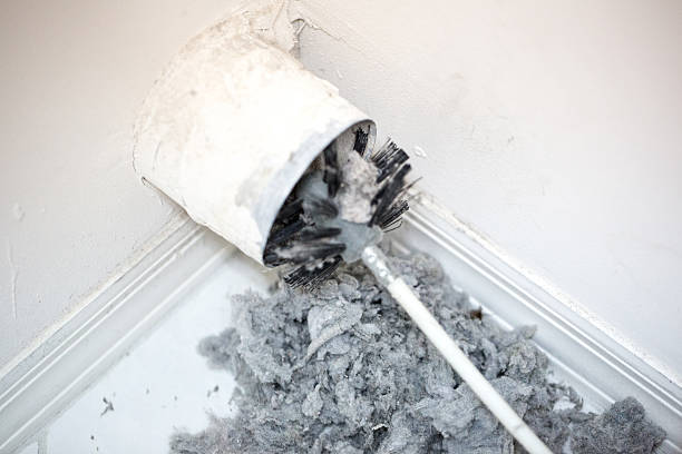 Reliable Trinity, FL Airduct Cleaning Solutions